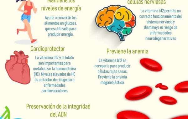 Ruda: para qué sirve y cómo hacer el té