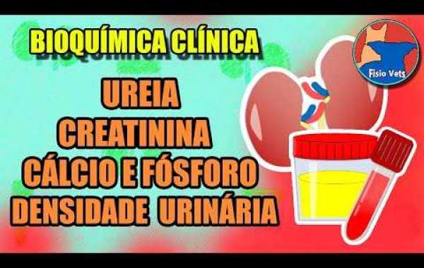 Entenda o Preço do Hemograma para Cães e Cuide Melhor da Saúde do Seu Pet